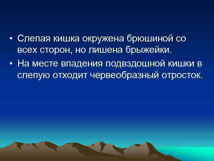  • Слепая кишка окружена брюшиной со всех сторон, но лишена брыжейки. • На