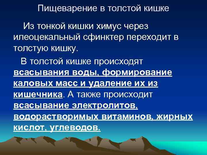 Пищеварение в толстой кишке Из тонкой кишки химус через илеоцекальный сфинктер переходит в толстую