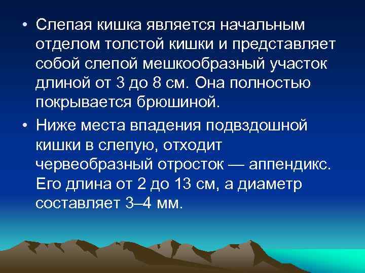  • Слепая кишка является начальным отделом толстой кишки и представляет собой слепой мешкообразный