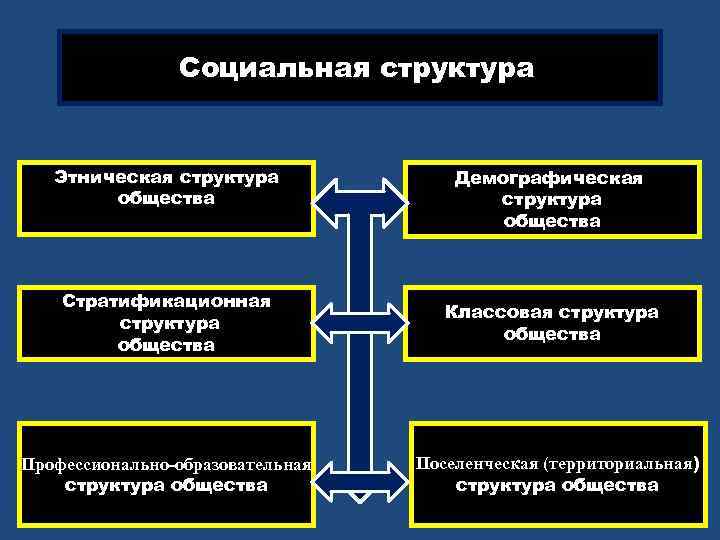 Социальная структура Этническая структура общества Стратификационная структура общества Профессионально-образовательная структура общества Демографическая структура общества
