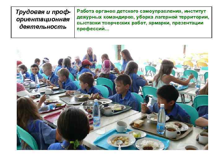 Трудовая и профориентационная деятельность Работа органов детского самоуправления, институт дежурных командиров, уборка лагерной территории,