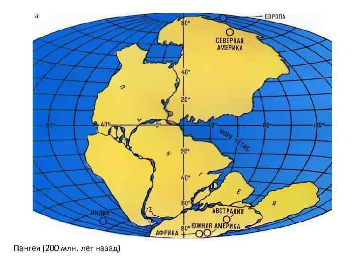 Единый материк в древности. Пангея материк 200 млн лет назад. Древний материк Пангея. Распад суперконтинента Пангея. Дрейф материков Пангея.