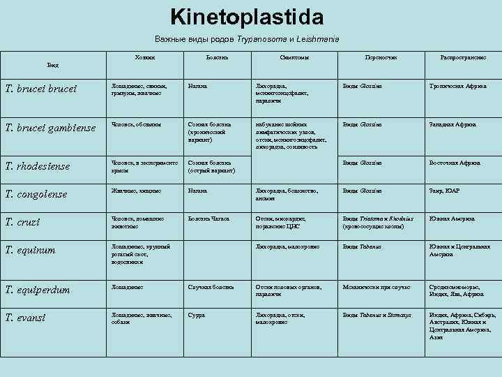 Kinetoplastida Важные виды родов Trypanosoma и Leishmania Хозяин Болезнь Симптомы Переносчик Распространение Вид T.