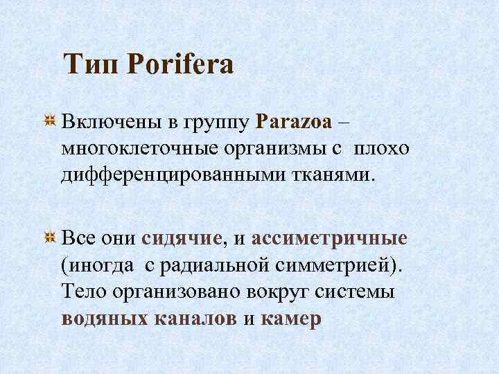 Тип Porifera Включены в группу Parazoa – многоклеточные организмы с плохо дифференцированными тканями. Все