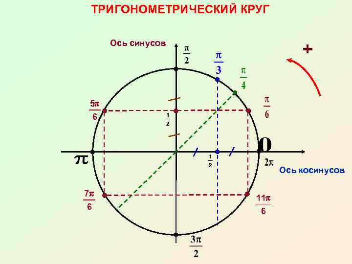 ТРИГОНОМЕТРИЧЕСКИЙ КРУГ Ось синусов 5 p 6 + 1 2 7 p 6 Ось
