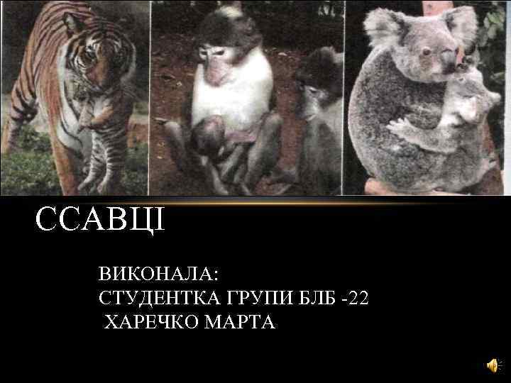 ССАВЦІ ВИКОНАЛА: СТУДЕНТКА ГРУПИ БЛБ -22 ХАРЕЧКО МАРТА 