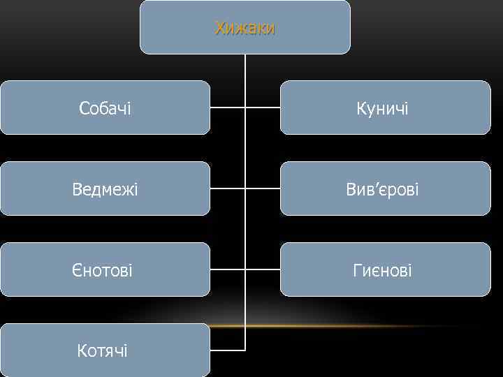 Хижаки Собачі Куничі Ведмежі Вив’єрові Єнотові Гиєнові Котячі 