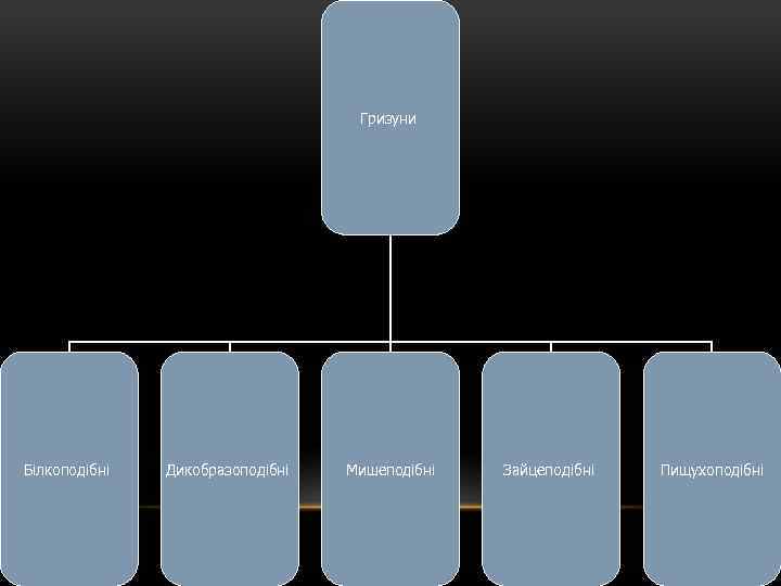 Гризуни Білкоподібні Дикобразоподібні Мишеподібні Зайцеподібні Пищухоподібні 