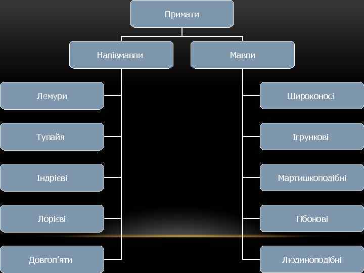 Примати Напівмавпи Мавпи Лемури Широконосі Тупайя Ігрункові Індрієві Мартишкоподібні Лорієві Гібонові Довгоп’яти Людиноподібні 