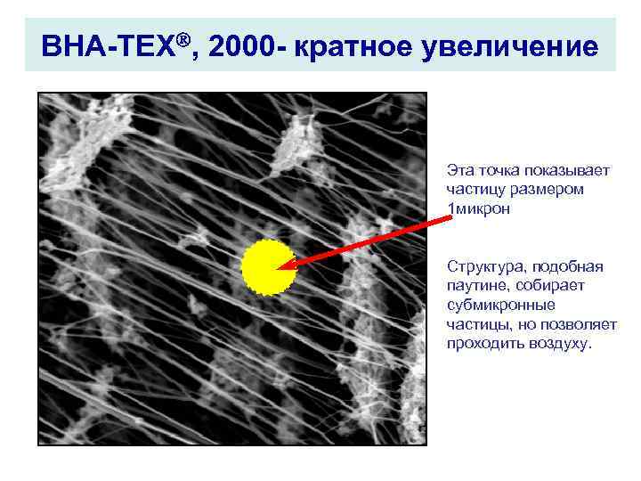 BHA TEX , 2000 кратное увеличение Эта точка показывает частицу размером 1 микрон Структура,
