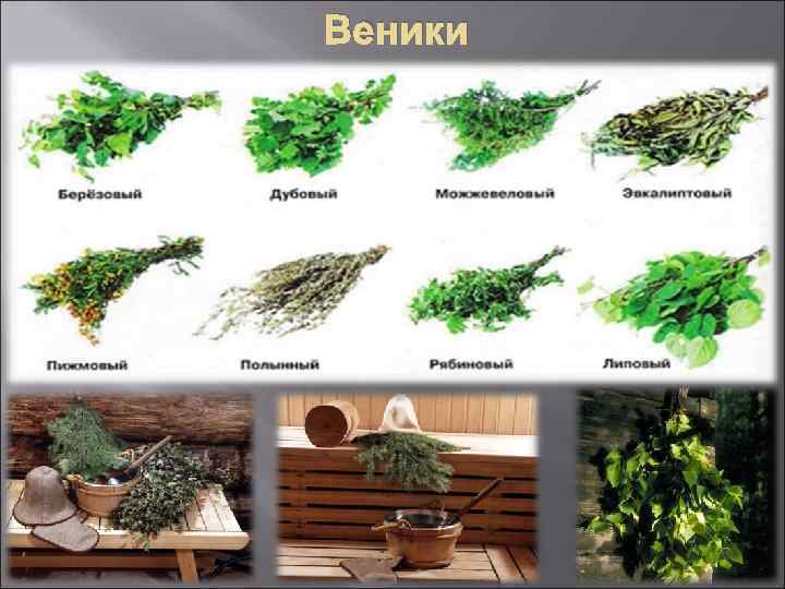 Веники 