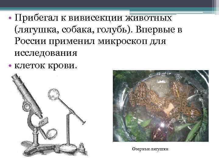  • Прибегал к вивисекции животных (лягушка, собака, голубь). Впервые в России применил микроскоп