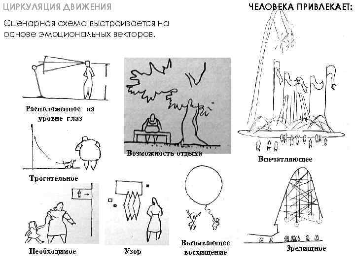 ЦИРКУЛЯЦИЯ ДВИЖЕНИЯ ЧЕЛОВЕКА ПРИВЛЕКАЕТ: Сценарная схема выстраивается на основе эмоциональных векторов. Расположенное на уровне