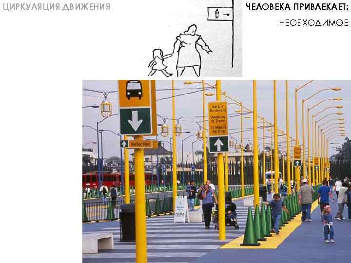 ЦИРКУЛЯЦИЯ ДВИЖЕНИЯ ЧЕЛОВЕКА ПРИВЛЕКАЕТ: НЕОБХОДИМОЕ 