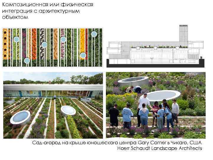 Композиционная или физическая интеграция с архитектурным объектом Сад-огород на крыше юношеского центра Gary Comer