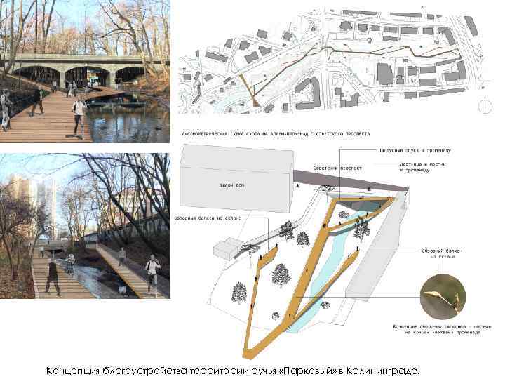 Концепция благоустройства территории ручья «Парковый» в Калининграде. 