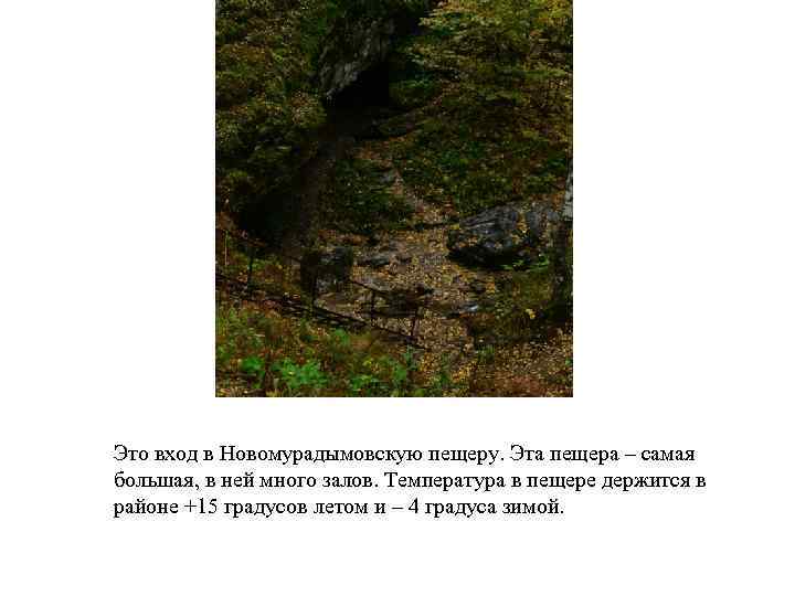 Это вход в Новомурадымовскую пещеру. Эта пещера – самая большая, в ней много залов.