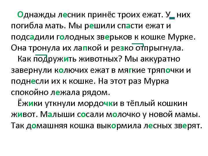 Однажды лесник принёс троих ежат. У них погибла мать. Мы решили спасти ежат и