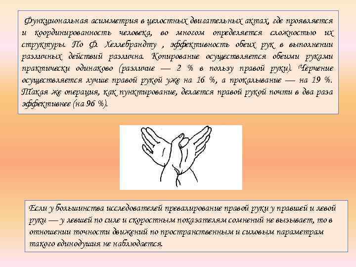 Функциональная асимметрия в целостных двигательных актах, где проявляется и координированность человека, во многом определяется