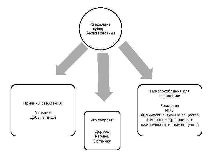 Сверлящие субстрат беспозвоночные Приспособления для сверления: Причины сверления: Укрытие Добыча пищи что сверлят: Дерево