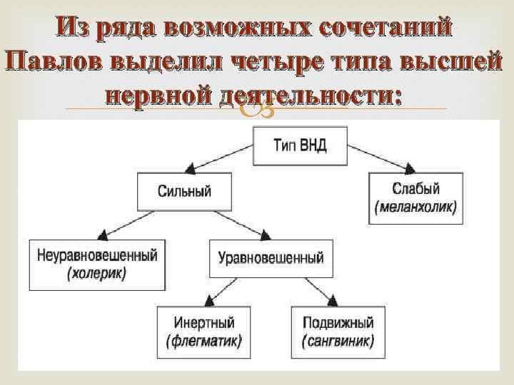 Из ряда возможных сочетаний Павлов выделил четыре типа высшей нервной деятельности: 