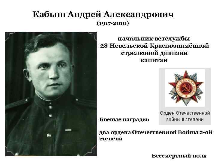 Кабыш Андрей Александрович (1917 -2010) начальник ветслужбы 28 Невельской Краснознамённой стрелковой дивизии капитан Боевые