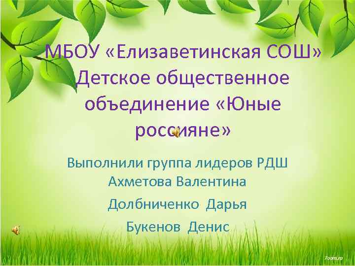 МБОУ «Елизаветинская СОШ» Детское общественное объединение «Юные россияне» Выполнили группа лидеров РДШ Ахметова Валентина