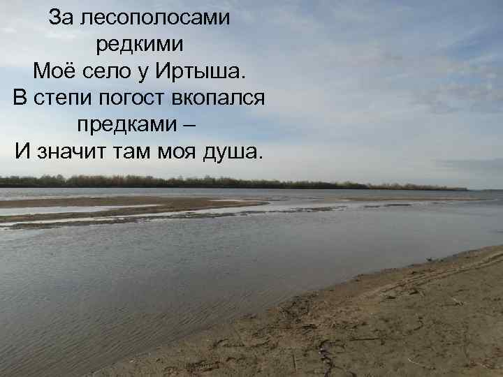 За лесополосами редкими Моё село у Иртыша. В степи погост вкопался предками – И