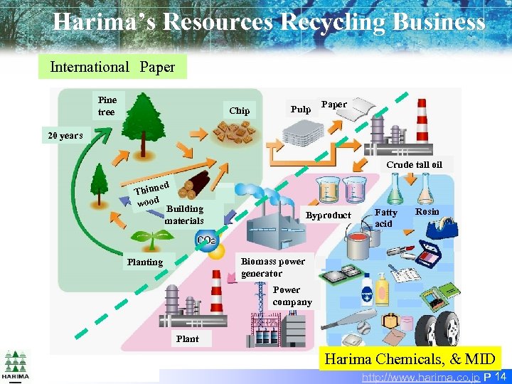 Harima’s Resources Recycling Business International　Paper Pine tree Chip Pulp Paper 20 years Crude tall