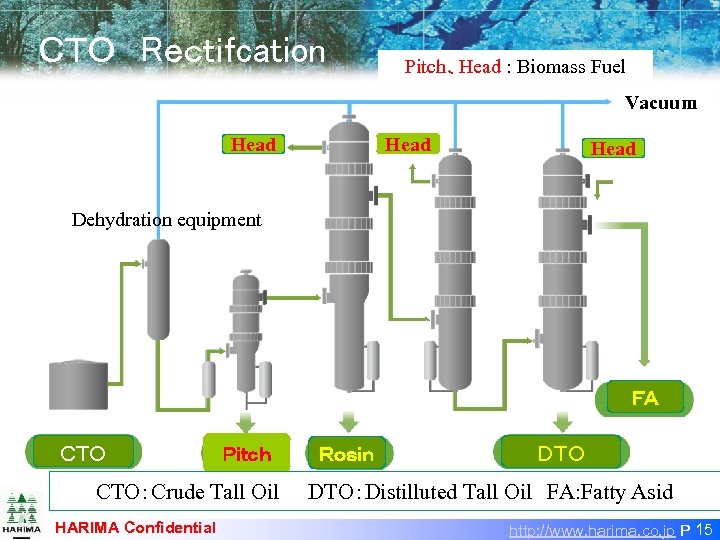 ＣＴＯ　Rｅｃｔｉｆcation Pitch、Head : Biomass Fuel Vacuum 真空 Head Dehydration equipment ＦＡ 脂肪酸 粗トール油 ＣＴＯ