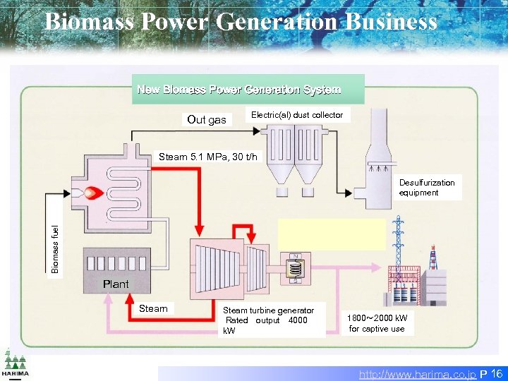 Biomass Power Generation Business New Biomass Power Generation System Out gas Electric(al) dust collector