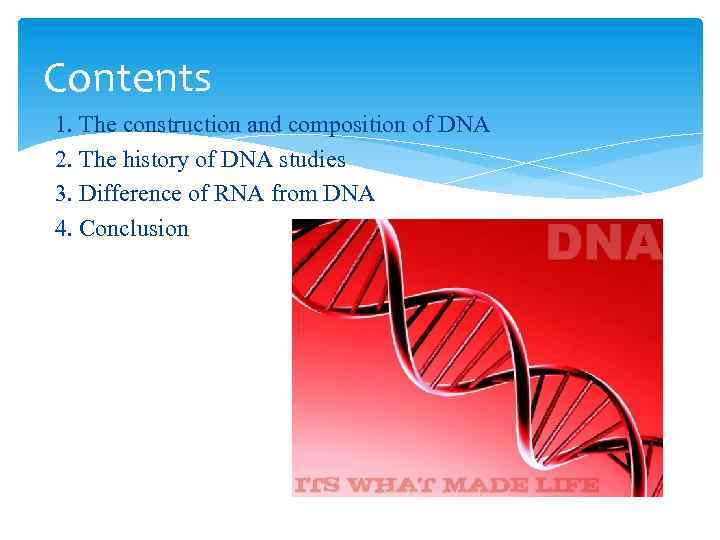 Cоntents 1. Тhe construction and composition of DNA 2. Тhe history of DNA studies