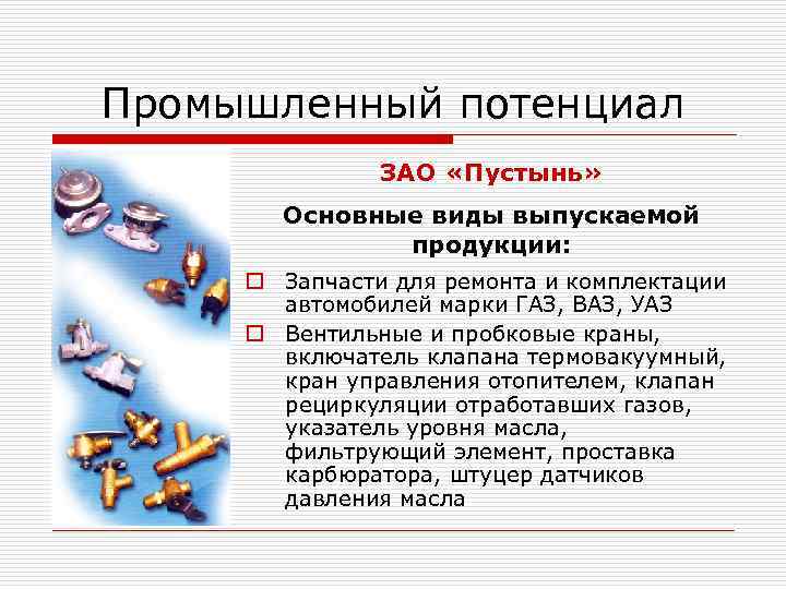 Промышленный потенциал ЗАО «Пустынь» Основные виды выпускаемой продукции: o Запчасти для ремонта и комплектации