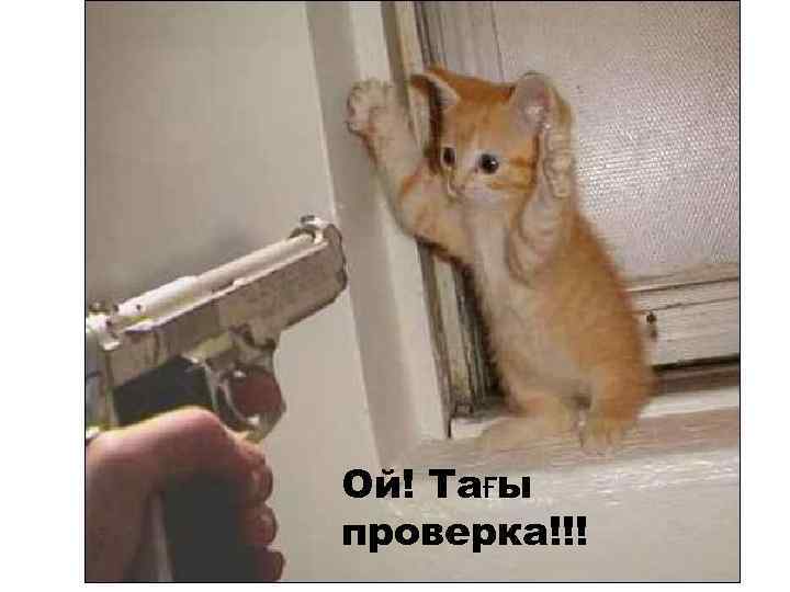 Ой! Тағы проверка!!! 