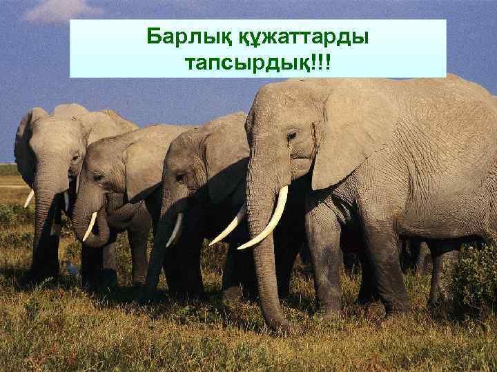 Барлық құжаттарды тапсырдық!!! 