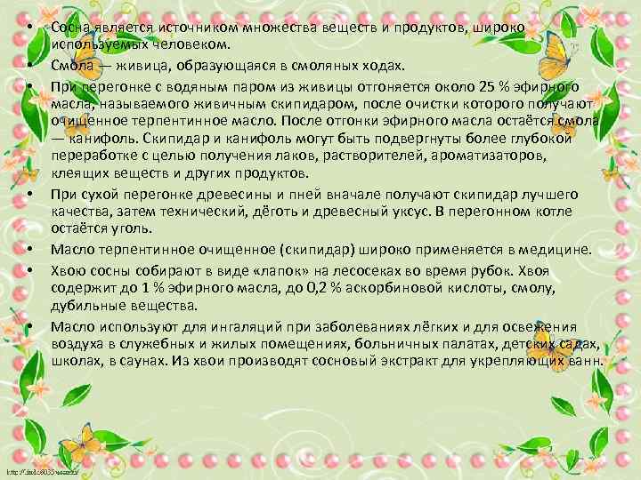  • • Сосна является источником множества веществ и продуктов, широко используемых человеком. Смола