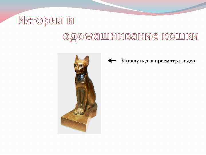 История и одомашнивание кошки Кликнуть для просмотра видео 