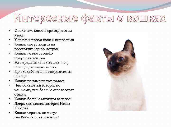 Интересные факты о кошках • • • Около 10% костей приходится на хвост У