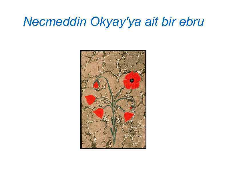 Necmeddin Okyay'ya ait bir ebru 