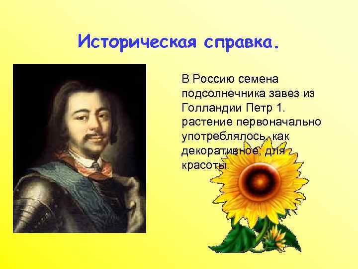 Историческая справка. В Россию семена подсолнечника завез из Голландии Петр 1. растение первоначально употреблялось,