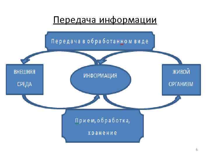 Передача информации 6 