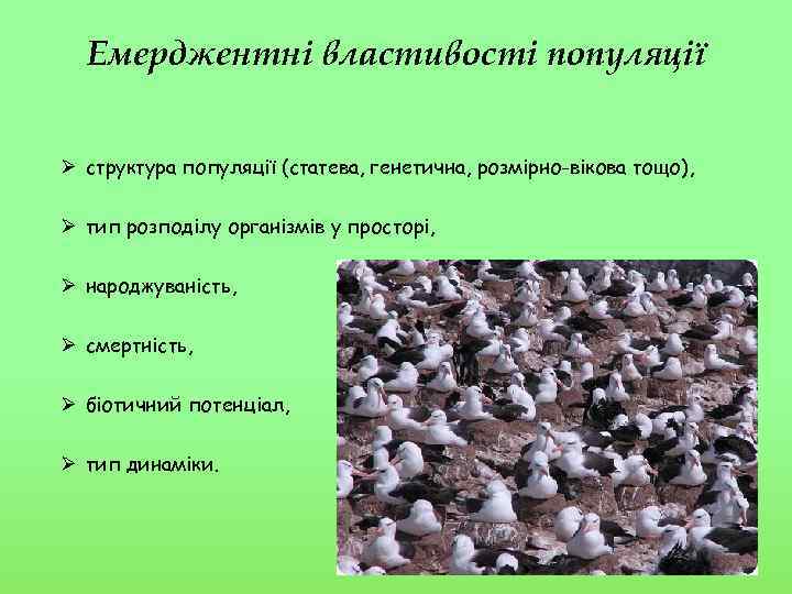 Емерджентні властивості популяції Ø структура популяції (статева, генетична, розмірно-вікова тощо), Ø тип розподілу організмів
