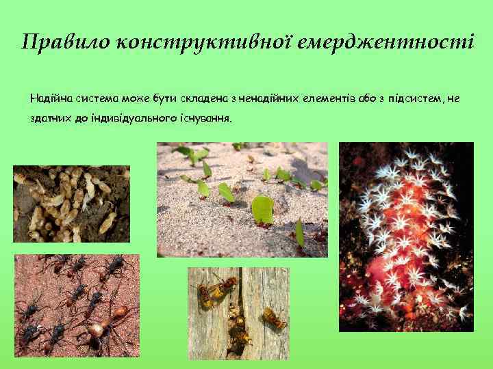 Правило конструктивної емерджентності Надійна система може бути складена з ненадійних елементів або з підсистем,