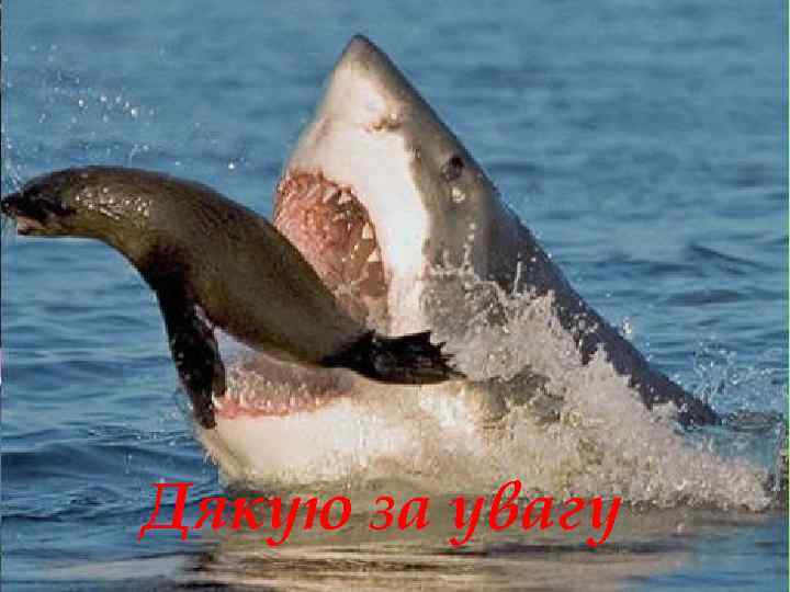 Дякую за увагу 