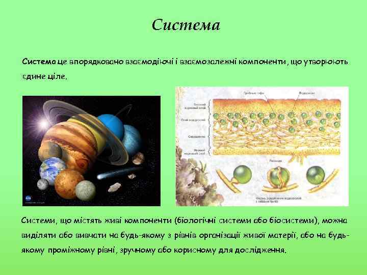 Система це впорядковано взаємодіючі і взаємозалежні компоненти, що утворюють єдине ціле. Системи, що містять