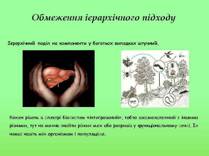Обмеження ієрархічного підходу Ієрархічний поділ на компоненти у багатьох випадках штучний. Кожен рівень в