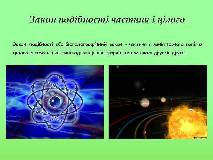 Закон подібності частини і цілого Закон подібності або біоголографічний закон - частина є мініатюрною