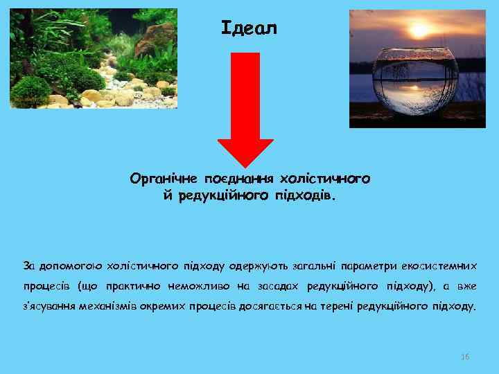 Ідеал Органічне поєднання холістичного й редукційного підходів. За допомогою холістичного підходу одержують загальні параметри