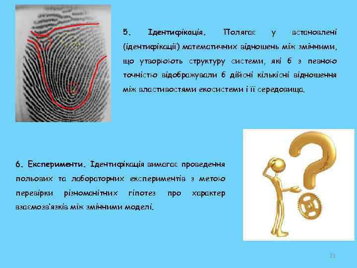 5. Ідентифікація. Полягає у встановлені (ідентифікації) математичних відношень між змінними, що утворюють структуру системи,