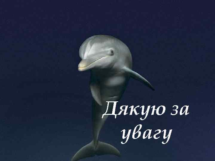 Дякую за увагу 25 